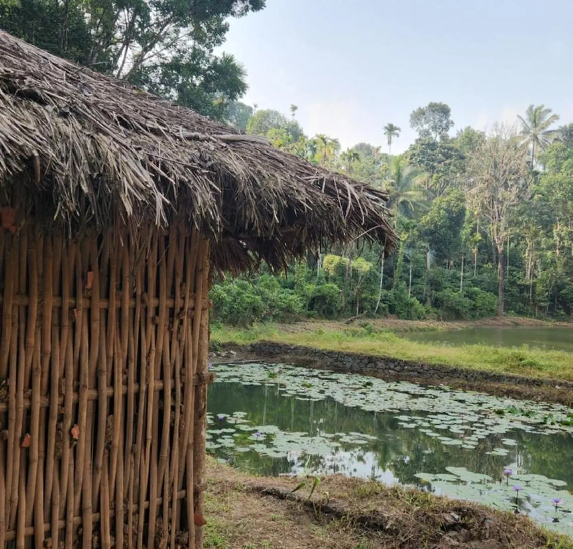 One Love Banasura Farm Resort Tariyod 0*,
