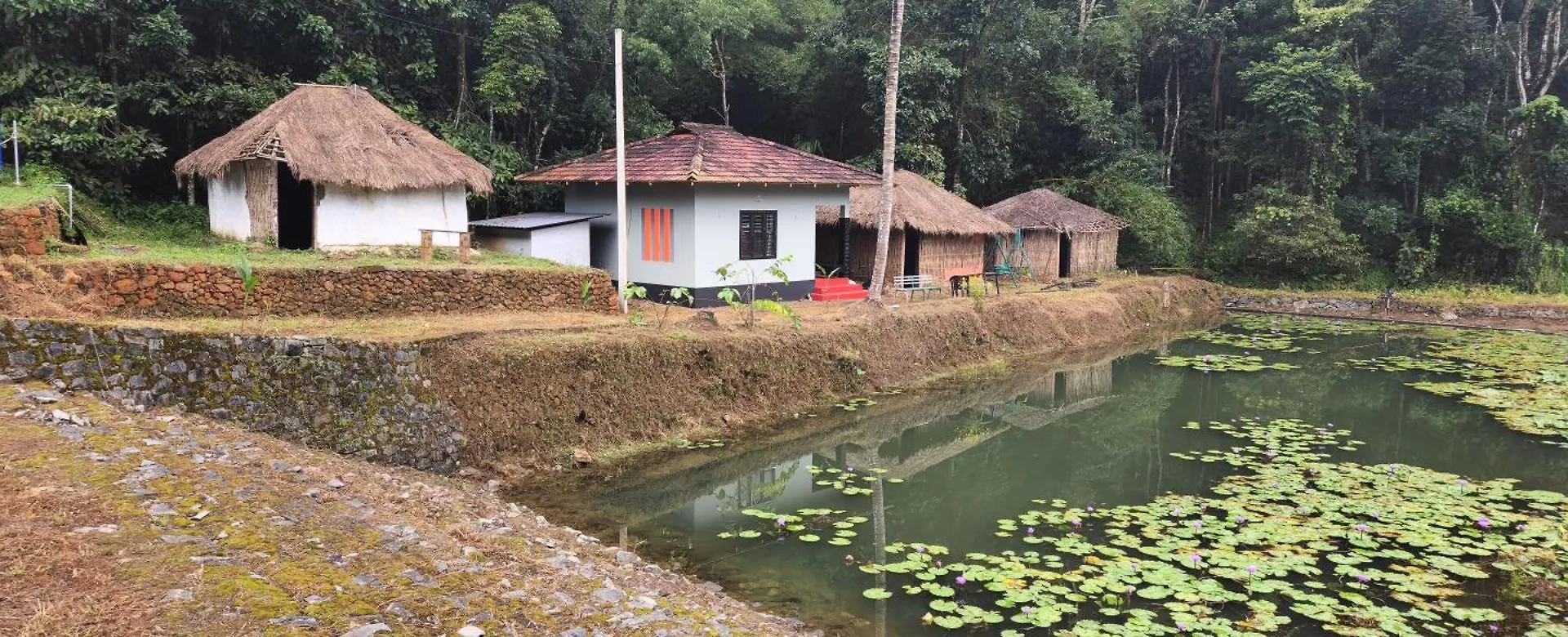 One Love Banasura Farm Resort Tariyod Camping