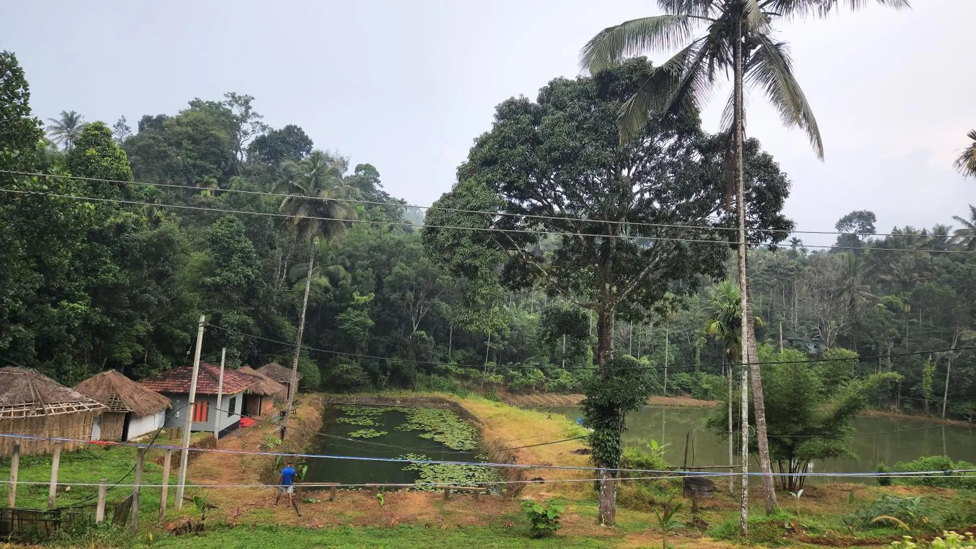Tariyod One Love Banasura Farm Resort